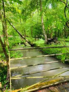 un chemin dans une zone boisée avec un pont dans l'établissement Gîte Ô Lunain Nature et Rivière, 