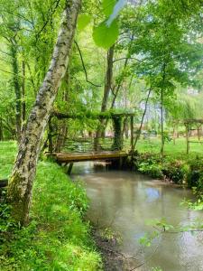 a wooden bridge over a river in a park at Gîte Ô Lunain Nature et Rivière 