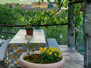 a table with a flower pot on a table with flowers at Casa Neva in Cannobio