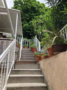a set of stairs with potted plants on them at Old city core in Senj +11 photos