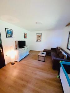 TV a/nebo společenská místnost v ubytování Fruska Pool House