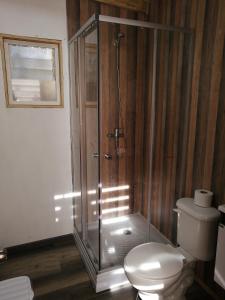 a bathroom with a shower and a toilet at Cabañas Calihue in Valdivia