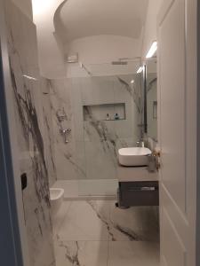 CastellamonteにあるSweet Home Canaveseのバスルーム(洗面台、トイレ、シャワー付)