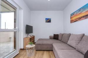 TV a/nebo společenská místnost v ubytování Apartments Poljak