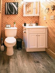 a bathroom with a toilet and a sink at Lakeside Mountain Oasis - 3 Bedroom Cabin with Outdoor Hot Tub in Topton +25 photos