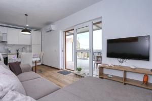 TV a/nebo společenská místnost v ubytování Apartments Poljak