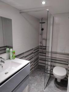 a bathroom with a shower and a toilet and a sink at Le business, duplex moderne special PRO de passage in Sarreguemines