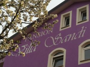 Fotografie z fotogalerie ubytování Hotel Villa Sandi - free parking v destinaci Čavle