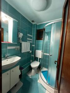 y baño con aseo, lavabo y ducha. en Vila Denis en Sinaia