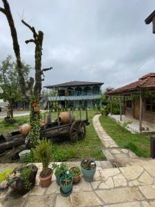 uma casa com plantas em frente em Odo’s Guest House em Martvili