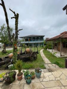 Zahrada ubytování Odo’s Guest House