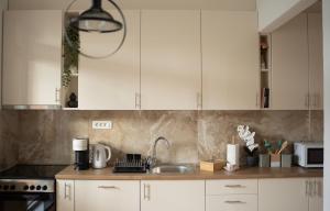 Η κουζίνα ή μικρή κουζίνα στο Apartment Narona Mostar +22 φωτογραφίες