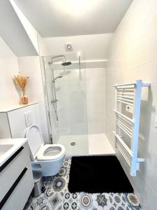 Un baño con ducha, inodoro y lavabo. en Charmant T2 à Aix-les-bains !, en Aix-les-Bains