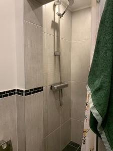 a bathroom with a shower with a green towel at Chambre complètement indépendante ! in Limoges