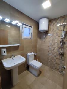 a bathroom with a toilet and a sink at Vila Zara in Donji Štoj
