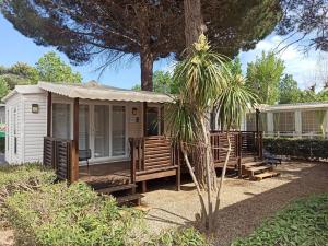 a small cabin with a porch and a palm tree at Mobil-home FO 88 à VIAS in Vias
