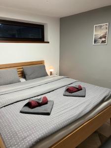 a bedroom with two beds with red pillows on them at Holiday house Lipno-Slupecna in Lipno nad Vltavou