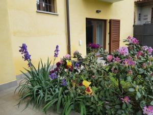 Vonkajšia záhrada v ubytovaní Sweet Home Canavese