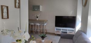 TV a/nebo společenská místnost v ubytování Le Cygne, appartement de standing en hyper-centre