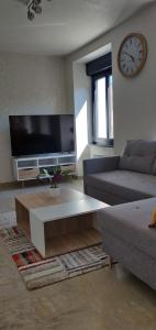 a living room with a couch and a tv at Le Cygne, appartement de standing en hyper-centre in Sarreguemines