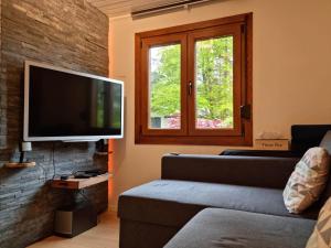 TV a/nebo společenská místnost v ubytování Le Cha'let Resteigne