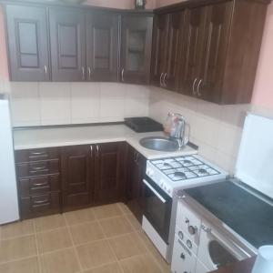 a small kitchen with a stove and a sink at Apartments Avramovic in Žabljak