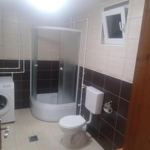 a bathroom with a toilet and a glass shower at Apartments Avramovic in Žabljak