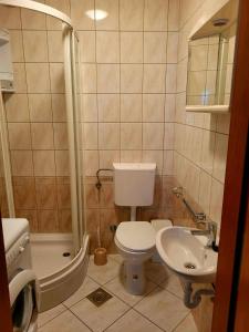 La petite salle de bains est pourvue de toilettes et d'un lavabo. dans l'établissement Apartment Anna, à Novi Vinodolski