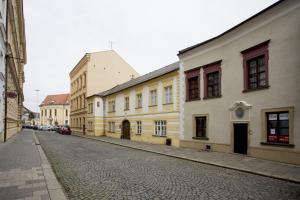 a cobblestone street in a city with buildings at Apartmán Mariánská 5 in Olomouc