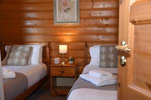Duas camas num quarto com paredes de madeira em Tawny Owl Lodge em Rhayader
