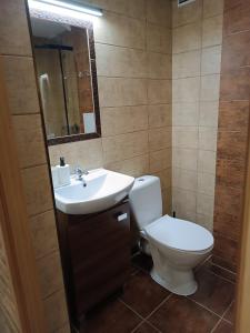 a bathroom with a toilet and a sink at Apartament Bukowy in Zakopane