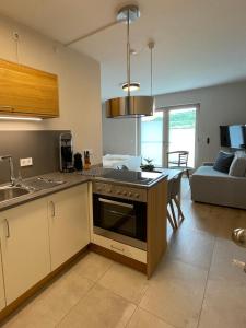 Η κουζίνα ή μικρή κουζίνα στο Appartements Rodenstein