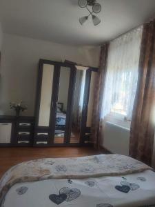 una camera con un letto e un grande specchio di Apartament Sarah a Oţelu Roşu