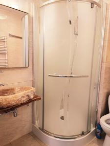a shower in a bathroom with a sink and a toilet at Apartament Na Wydmie, garaż + ładowarka EV in Ustka