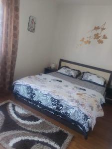 una camera con letto e tappeto di Apartament Sarah a Oţelu Roşu