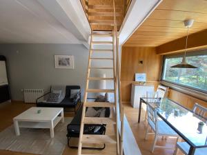 a room with a ladder in a tiny house at Apartamento Duplex en La Molina in Alp +11 photos