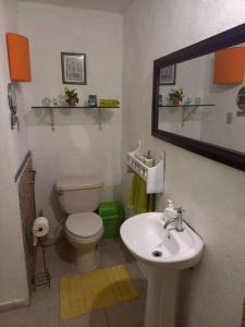 a bathroom with a toilet and a sink and a mirror at Estancia Sonrisas de Ángeles in Constanza