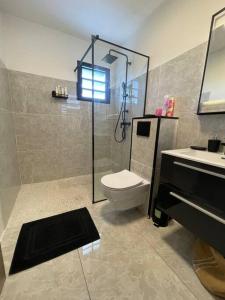 La salle de bains est pourvue d'une douche, de toilettes et d'un lavabo. dans l'établissement MonÉTOILE charmant bas de villa, à Sainte-Marie