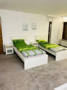 two beds in a room with green sheets at Arbeiterwohnung, bis zu 9 Personen, Langzeitmieter, Monteurzimmer in Gelnhausen