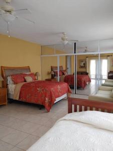a bedroom with two beds and a large mirror at The Views Will Take Your Breath Away - Romantic Villa on the Beach in Arecibo