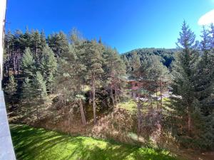 una vista aérea de un bosque con árboles y césped en Apartamento Duplex en La Molina, en Alp