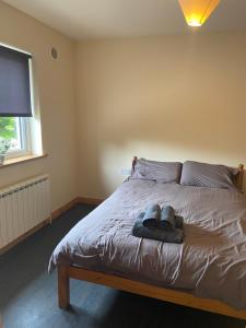 Billede fra billedgalleriet på Higgins House i Ballyhaunis