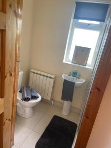 a bathroom with a toilet and a sink and a window at Higgins House in Ballyhaunis +11 photos