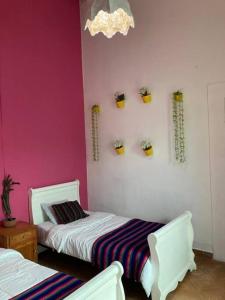 - une chambre avec 2 lits et un mur rose dans l'établissement CASA TERRA LINDA, à San Luis Potosí