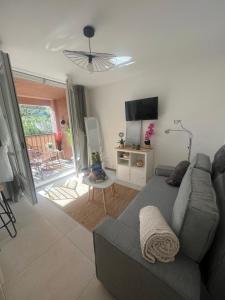 un salon avec un canapé gris et une télévision dans l'établissement Appartement pied dans l’eau, à La Seyne-sur-Mer 18 autres photos