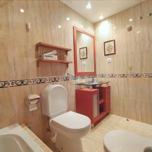 uma casa de banho com um WC, um lavatório e um espelho. em Apartamento Seronda em Villaviciosa