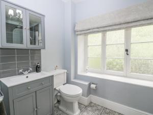 Lydbrook的住宿－Viaduct House，一间带卫生间、水槽和窗户的浴室