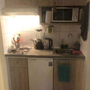 uma pequena cozinha com um lavatório e um frigorífico em Apartamento Amoblado , en el corazón de Providencia em Santiago