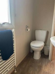 a bathroom with a white toilet and a sink at Tarka Holiday Park - Summer Breeze - Coastal Breaks - North Devon - Braunton-Barnstaple in Ashford