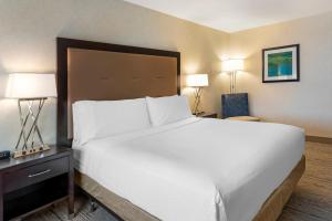 Postel nebo postele na pokoji v ubytování Holiday Inn Express San Bernardino Colton by IHG + 37 fotografií